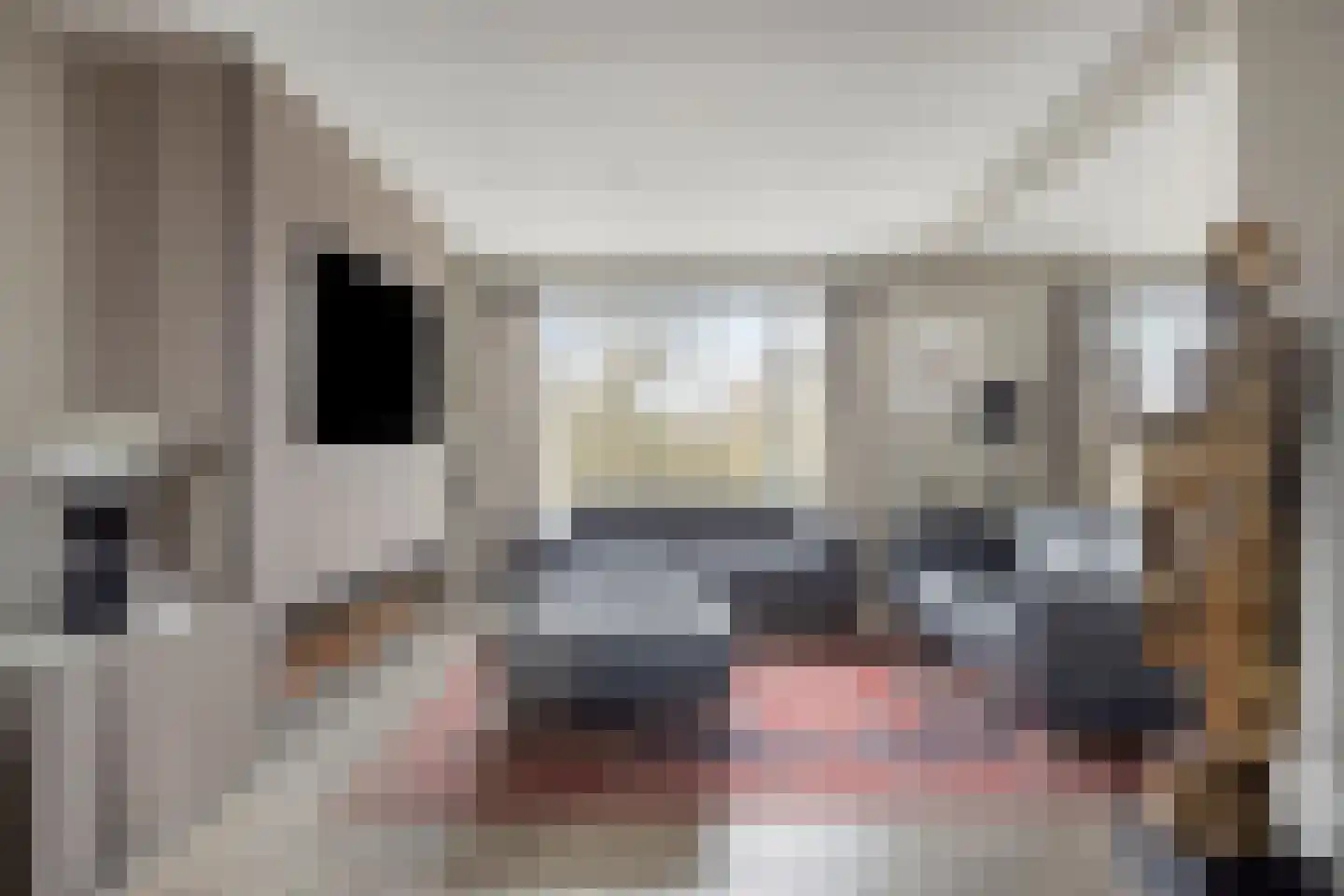 Segbroeklaan 498 Den Haag thumbnail 8