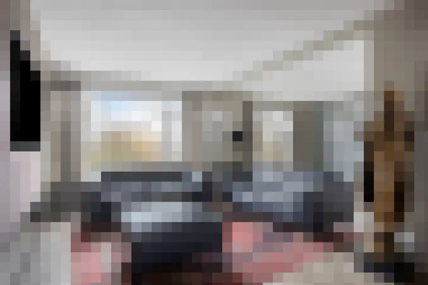 Segbroeklaan 498 Den Haag thumbnail 9