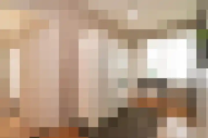 Segbroeklaan 76 Den Haag thumbnail 11