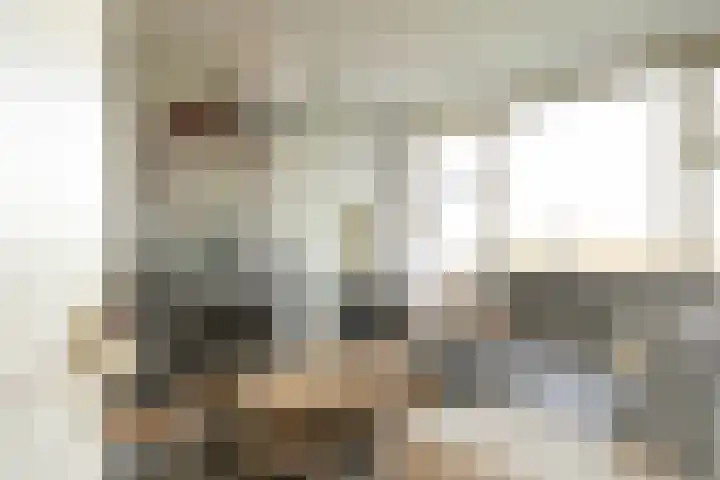 Segbroeklaan 76 Den Haag thumbnail 13