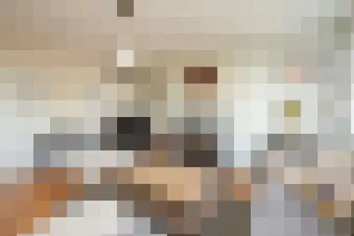 Segbroeklaan 76 Den Haag thumbnail 16