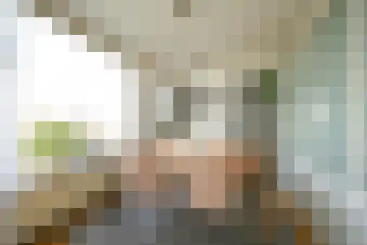 Segbroeklaan 76 Den Haag thumbnail 17