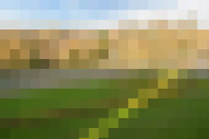 Segbroeklaan 76 Den Haag thumbnail 19