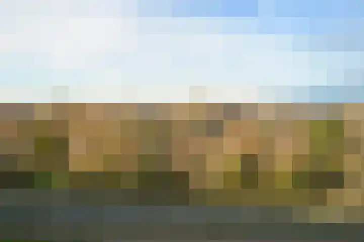 Segbroeklaan 76 Den Haag thumbnail 20