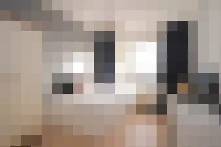 Segbroeklaan 76 Den Haag thumbnail 22