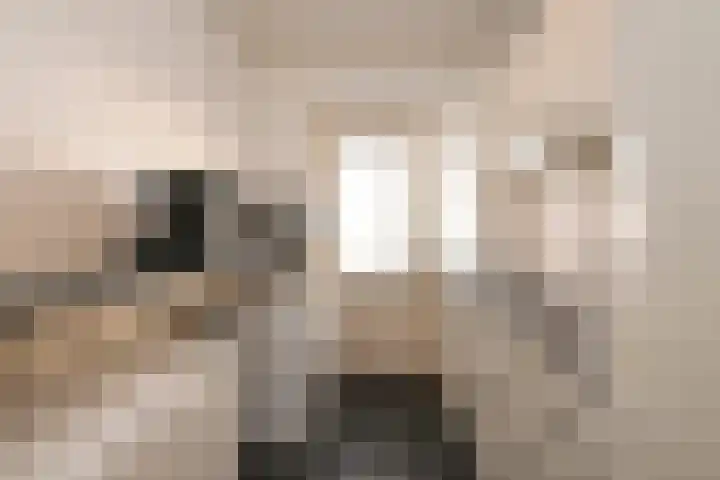 Segbroeklaan 76 Den Haag thumbnail 25