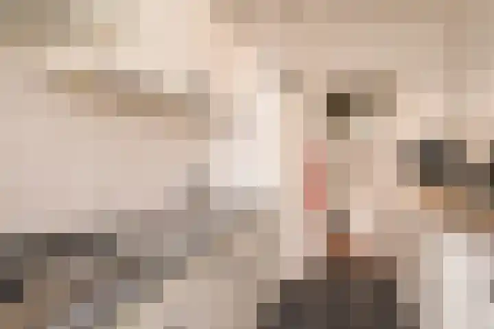 Segbroeklaan 76 Den Haag thumbnail 26