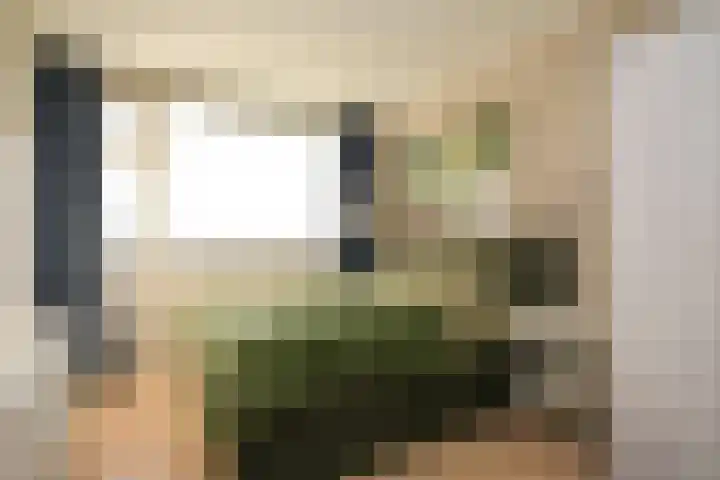 Segbroeklaan 76 Den Haag thumbnail 29