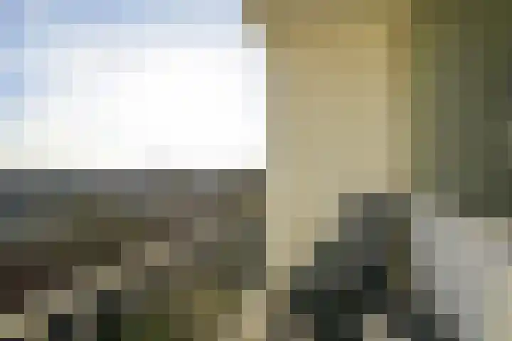 Segbroeklaan 76 Den Haag thumbnail 31