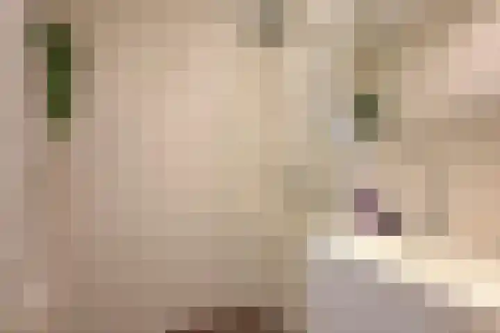 Segbroeklaan 76 Den Haag thumbnail 34
