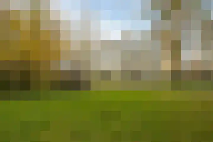 Segbroeklaan 76 Den Haag thumbnail 41