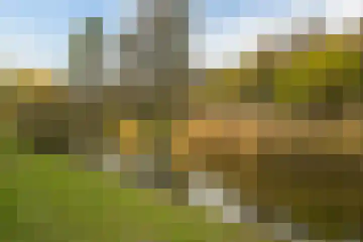 Segbroeklaan 76 Den Haag thumbnail 42
