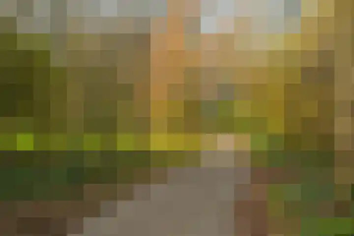 Segbroeklaan 76 Den Haag thumbnail 43