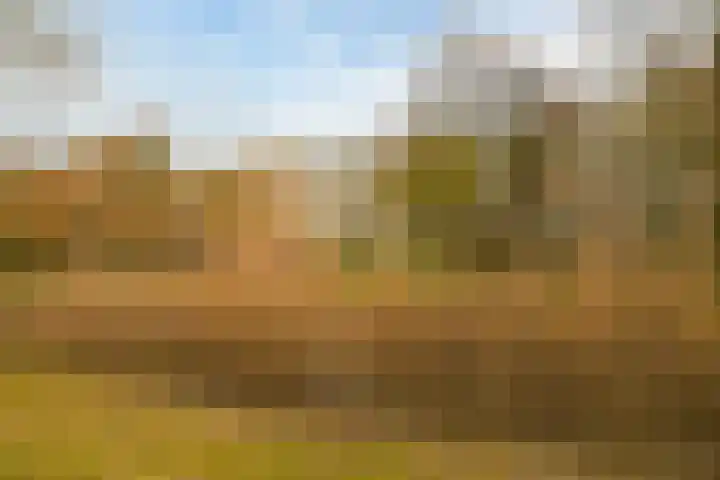 Segbroeklaan 76 Den Haag thumbnail 44