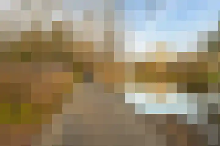 Segbroeklaan 76 Den Haag thumbnail 45