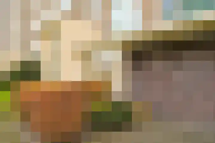 Segbroeklaan 76 Den Haag thumbnail 7
