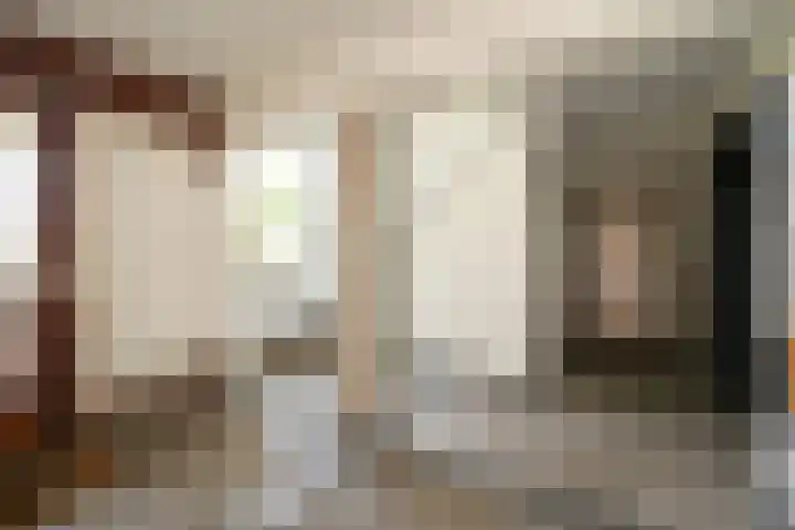 Segbroeklaan 76 Den Haag thumbnail 8