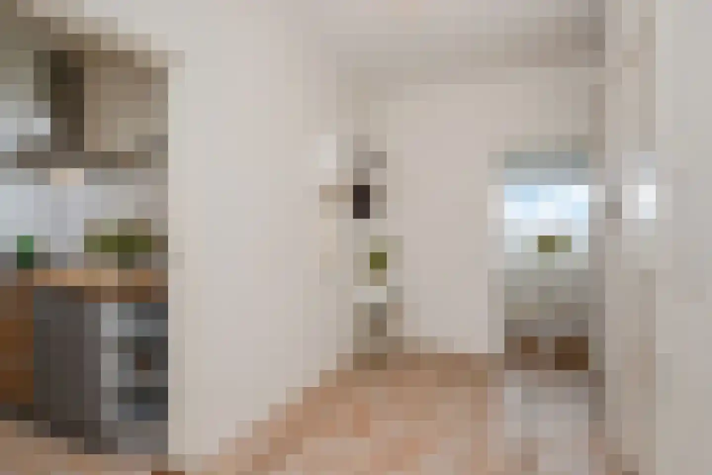 Segbroeklaan 98 Den Haag thumbnail 17