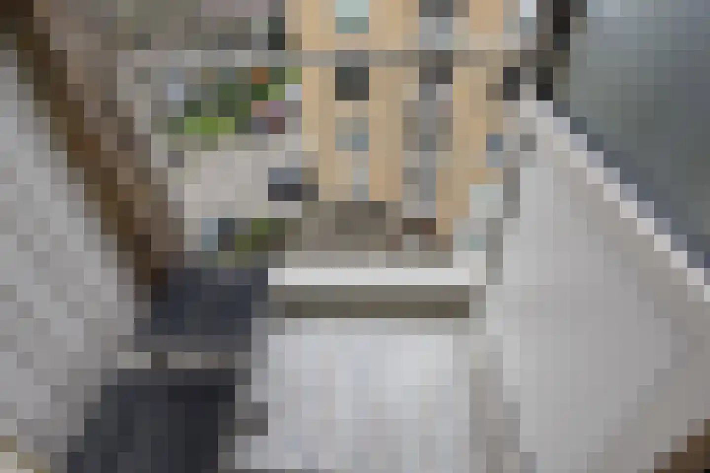Segbroeklaan 98 Den Haag thumbnail 20