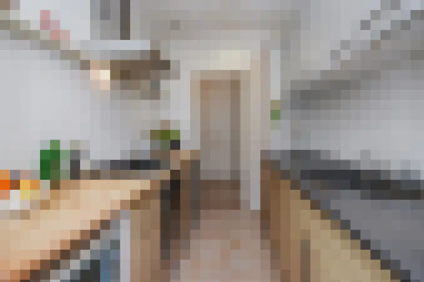 Segbroeklaan 98 Den Haag thumbnail 21