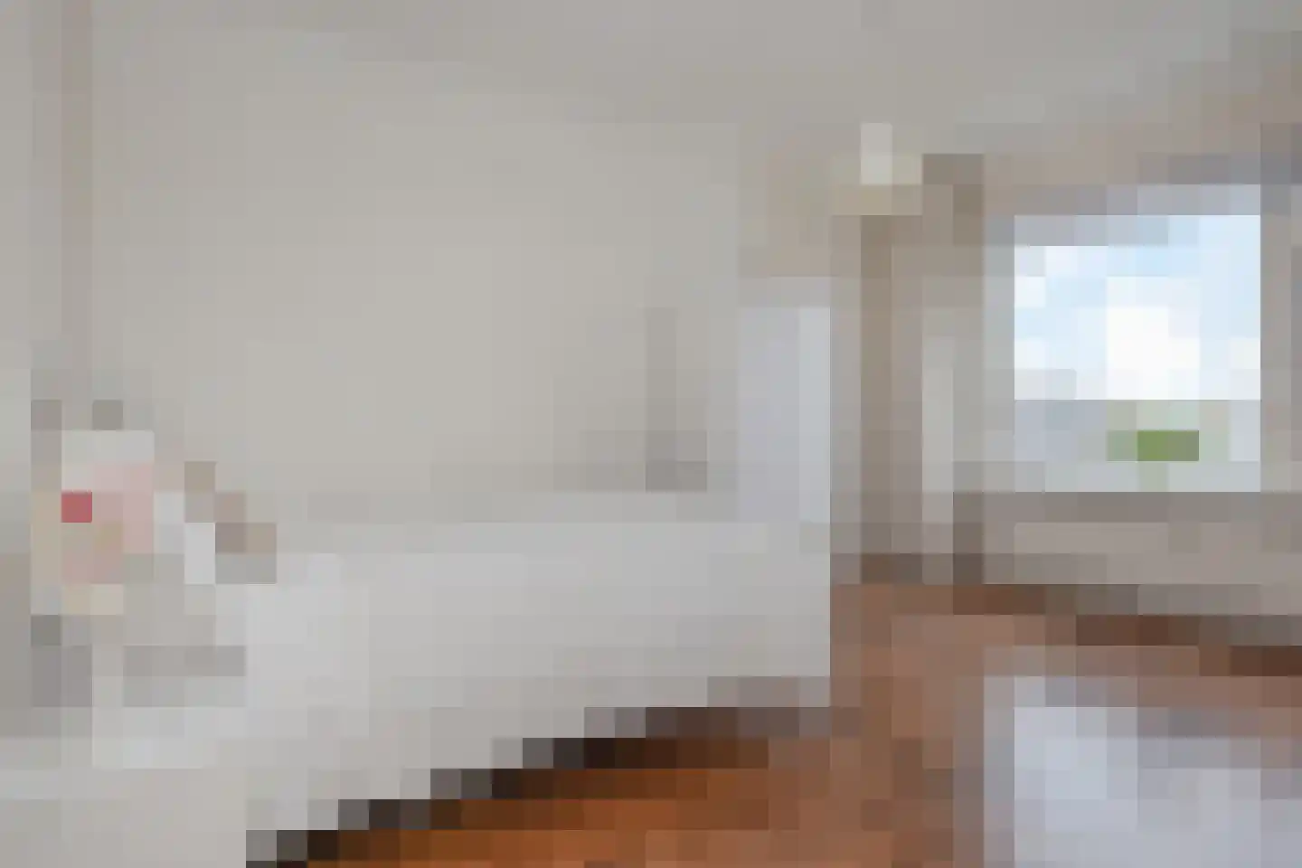 Segbroeklaan 98 Den Haag thumbnail 27