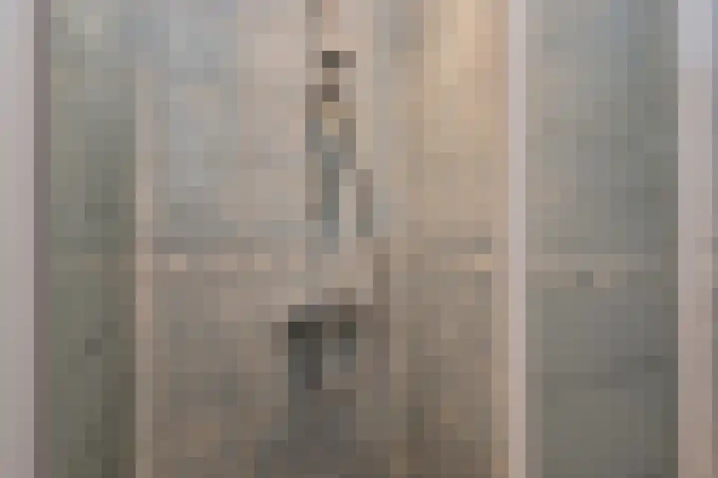 Segbroeklaan 98 Den Haag thumbnail 31