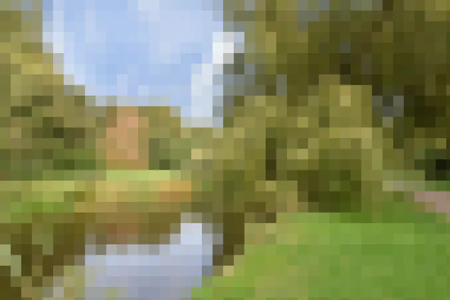 Segbroeklaan 98 Den Haag thumbnail 39