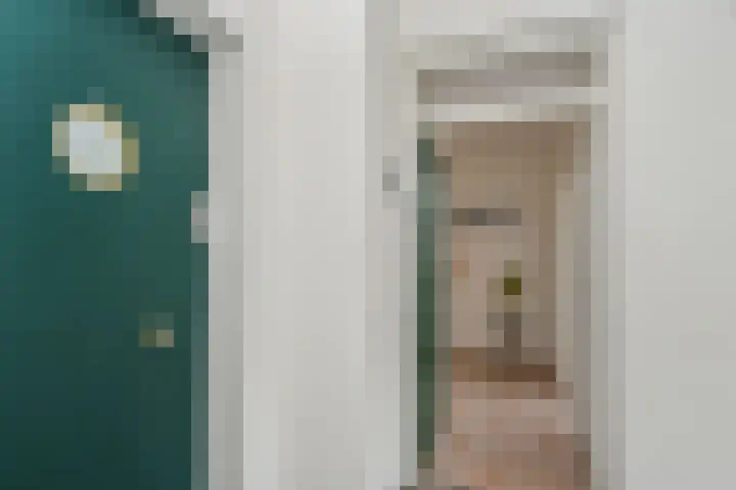 Segbroeklaan 98 Den Haag thumbnail 4
