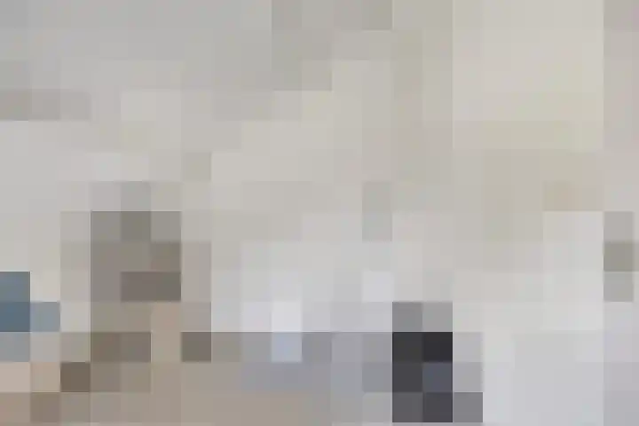 Segeerssingel 140 Middelburg thumbnail 17