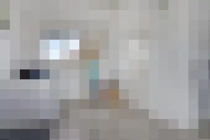 Segeerssingel 140 Middelburg thumbnail 19