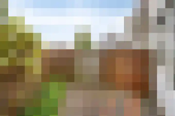 Segeerssingel 140 Middelburg thumbnail 20