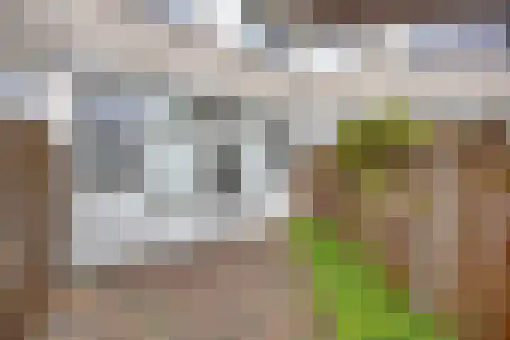 Segeerssingel 140 Middelburg thumbnail 21