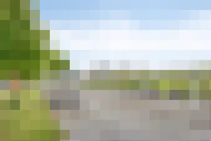 Segeerssingel 140 Middelburg thumbnail 4