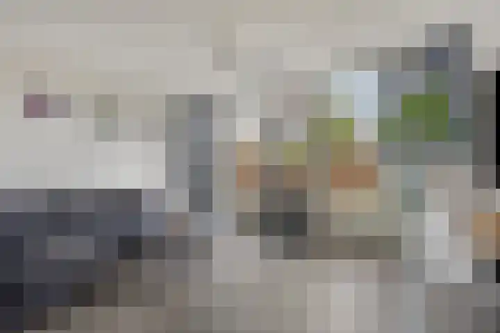 Segeerssingel 140 Middelburg thumbnail 8