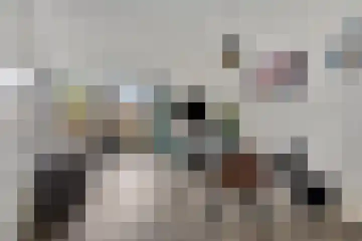 Segeerssingel 140 Middelburg thumbnail 9