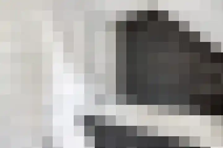 Segeerssingel 52 Middelburg thumbnail 17