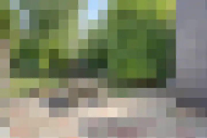 Segeerssingel 52 Middelburg thumbnail 20