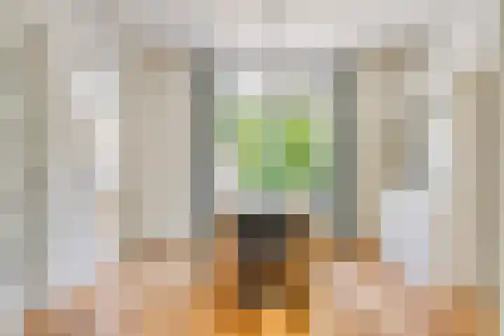 Segeerssingel 52 Middelburg thumbnail 6