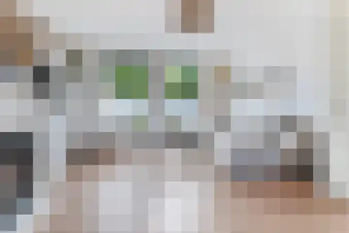 Segeersstraat 3 Middelburg thumbnail 5