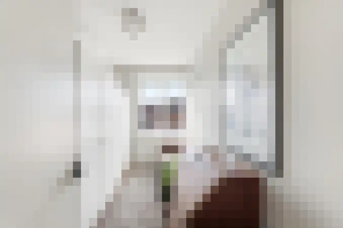 Segeersstraat 44 Middelburg thumbnail 25