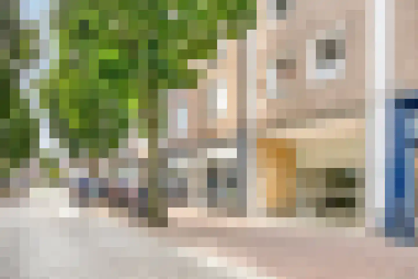 Segeersstraat 54 Middelburg thumbnail 7