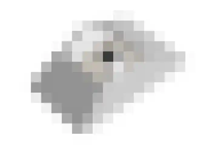 Segeersstraat 7 Middelburg thumbnail 32
