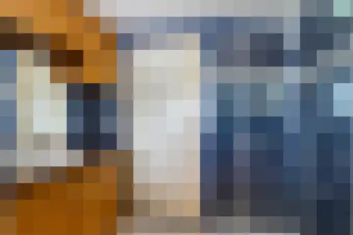 Segeersweg 32 Middelburg thumbnail 16