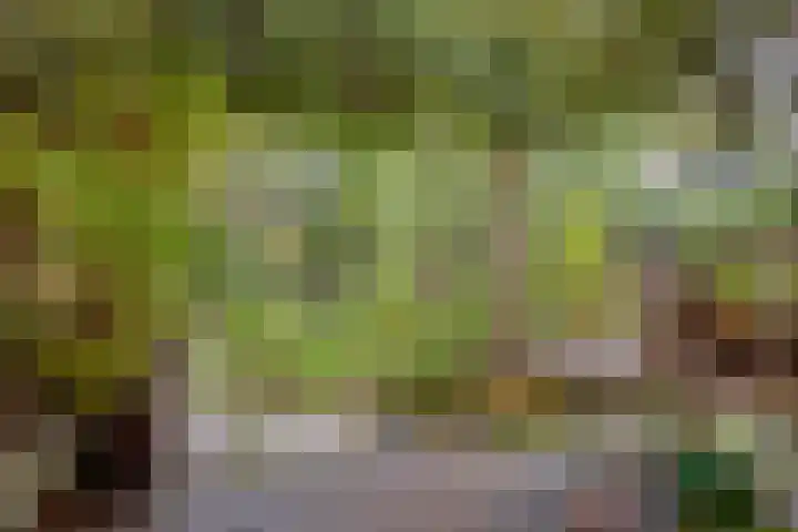 Segeersweg 32 Middelburg thumbnail 18