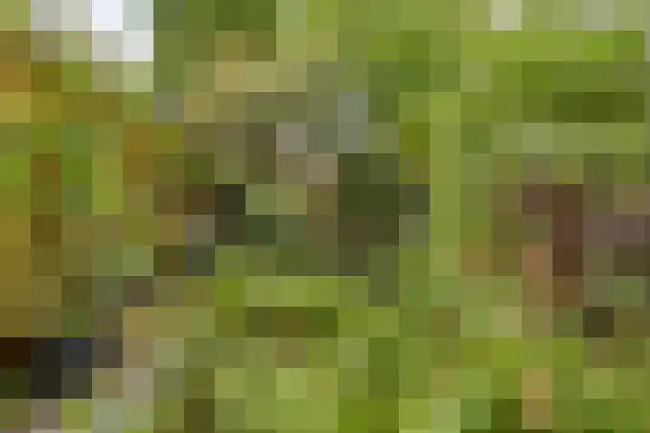Segeersweg 32 Middelburg thumbnail 19