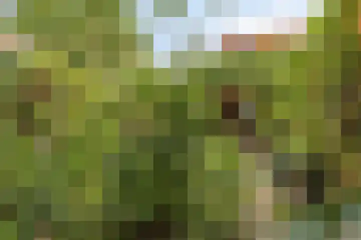 Segeersweg 32 Middelburg thumbnail 20