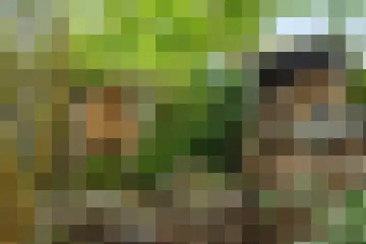 Segeersweg 32 Middelburg thumbnail 21