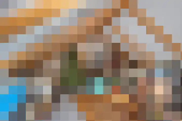 Seggegors 27 Zuid-Beijerland thumbnail 23
