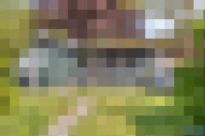 Seggegors 27 Zuid-Beijerland thumbnail 27