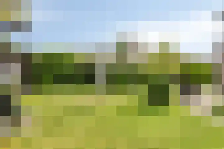 Seggegors 27 Zuid-Beijerland thumbnail 29